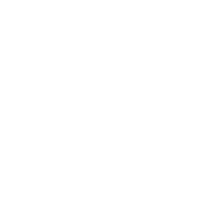 SEO Optimisation